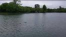 Sony Xperia Z2 Video Sample (2160p (4K) & 30 fps) - Mobilissimo.ro