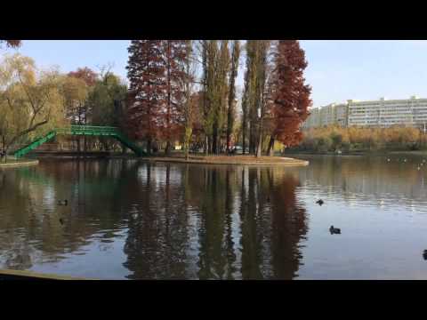 Apple iPad Air video sample (Full HD 30 FPS) - Mobilissimo.ro