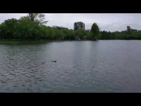 Sony Xperia Z2 Video Sample (2160p (4K) & 30 fps) - Mobilissimo.ro