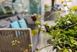 Xiaomi-15-Ultra-Mostre-Bokeh_008.jpg