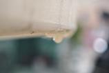 Xiaomi-15-Ultra-Mostre-Macro_015.jpg