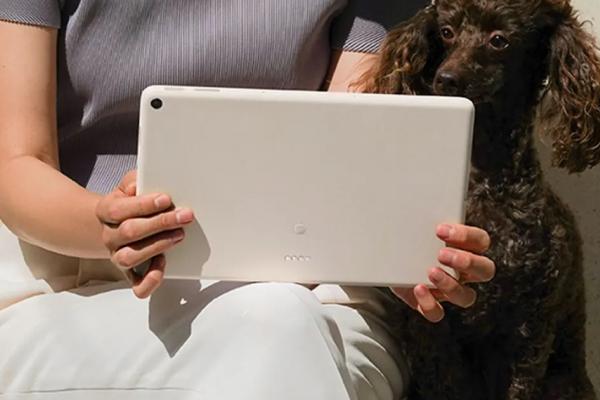 Noua tabletă Pixel pregătită de către Google ajunge la vânzare înainte de lansare pe Facebook; Are și dock!