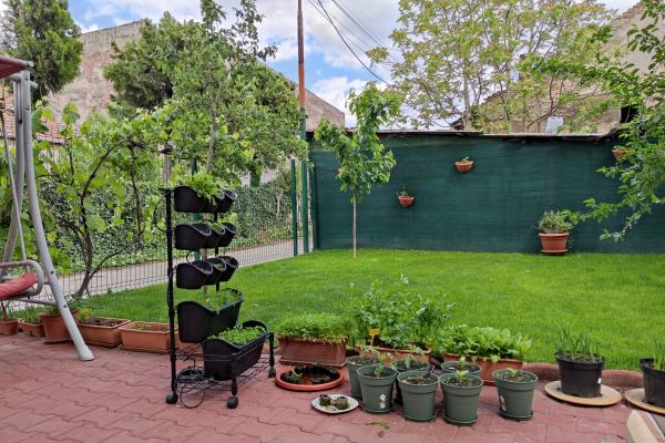 Xiaomi Mi 10 Pro - Mostre Foto (ziua)