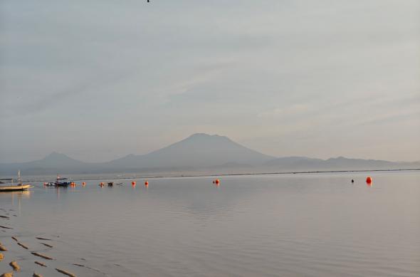 POCO F8 Pro - Mostre zoom: POCO-F8-Pro-Mostre-Zoom_017.jpg