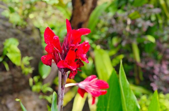 POCO F8 Pro - Mostre bokeh: POCO-F8-Pro-Mostre-Bokeh_009.jpg