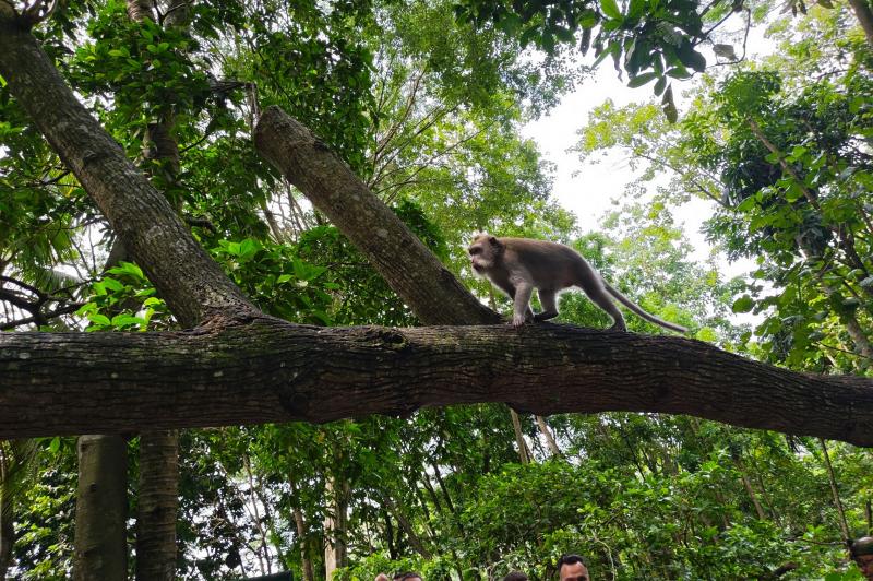 POCO F8 Pro - Mostre zoom: POCO-F8-Pro-Mostre-Zoom_029.jpg