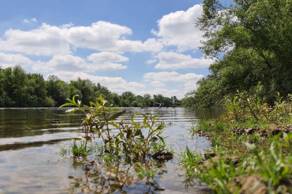 Samsung Galaxy Note 10 Lite - Mostre Foto (ziua)