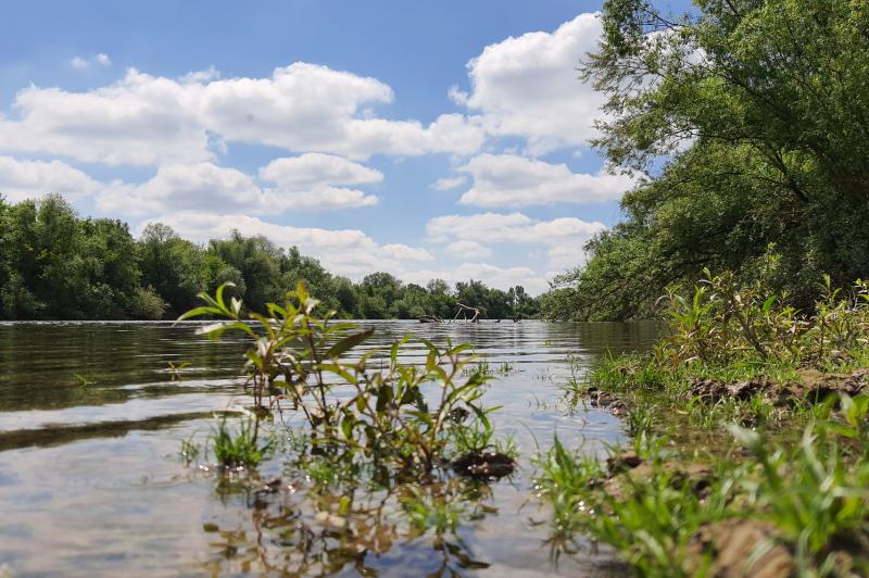 Samsung Galaxy Note 10 Lite - Mostre Foto (ziua): 20200516_121618.jpg