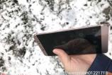 LeEco-LE-X920-leaked-images (7).jpg