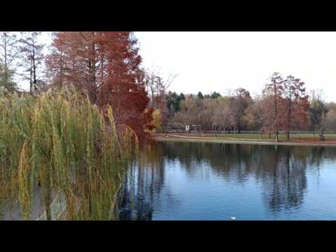 ASUS ZenFone 3 ZE552KL, mostră video Full HD, 30 FPS (panoramare, dynamic range) - Mobilissimo.ro