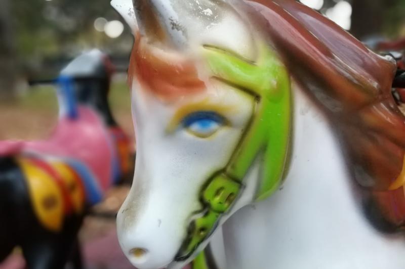 Huawei Mate 20 Lite - Mostre Foto (bokeh): IMG_20181125_160135.jpg