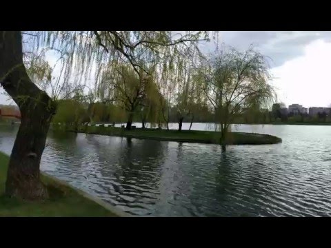 LG Nexus 5X mostră video 4K (UHD), 30 FPS - Mobilissimo.ro