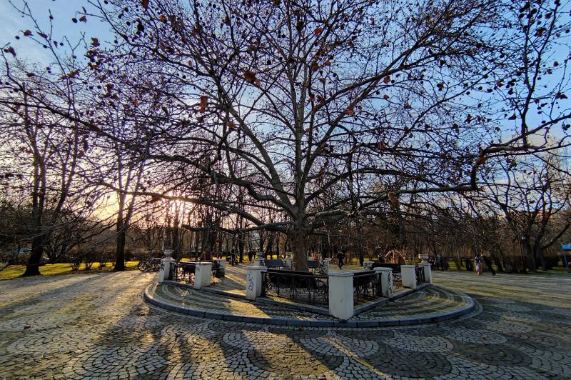 Xiaomi Mi 10T Lite - Mostre Foto (ziua): IMG_20201229_152802.jpg