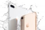 iPhone-8-Plus_005.jpg