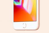 iPhone-8-Plus_018.jpg