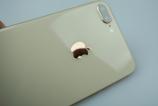 Apple-iPhone-8-Plus_116.JPG
