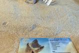 Funcom-Dune_021.jpg