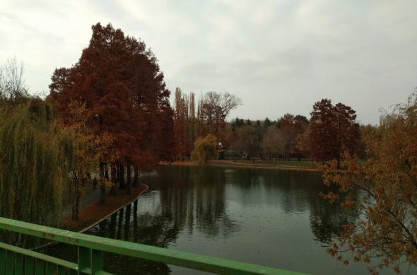 Motorola One - Mostre Foto (ziua): IMG_20181114_143913271.jpg