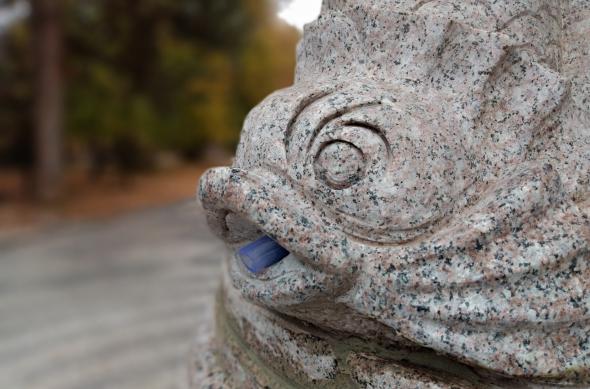 Motorola One - Mostre Foto (bokeh): IMG_20181114_144423542_PORTRAIT.jpg