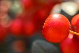 HUAWEI-Mate-X6-Mostre-Macro_029.jpg