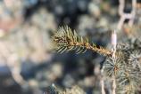 HUAWEI-MATE-X6-Mostre-Bokeh_002.jpg