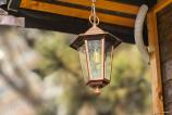 HUAWEI-MATE-X6-Mostre-Bokeh_004.jpg