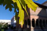 P_20161009_153136.jpg