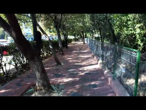 TP-Link Neffos C5 Max, mostră video Full HD, 16 FPS (stabilizare video)