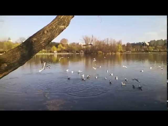 Allview E2 Jump video sample IV. (Full HD 1920x1088, 25 FPS) - Mobilissimo.ro