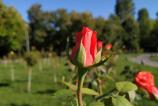 IMG_20180919_161801.jpg