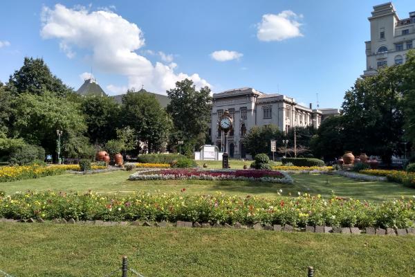 Motorola Moto G6 Play - Mostre Foto (ziua)