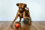 playdate-gallery-7-1.jpg
