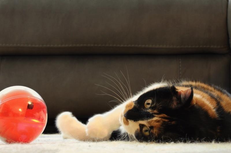 PlayDate: playdate-gallery-2-1.jpg