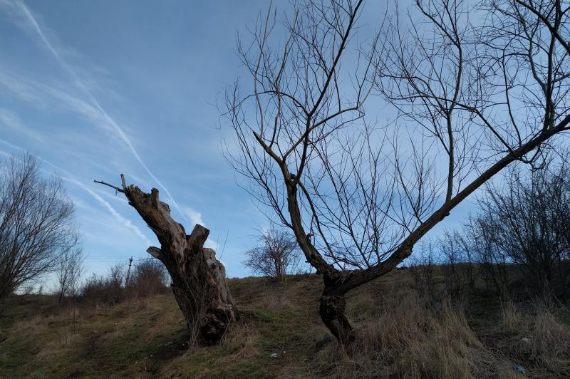 Huawei Nexus 6P - Mostre Foto (ziua): IMG_20160207_162254.jpg