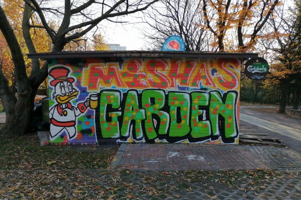 Huawei P smart 2021 - Mostre Foto (ziua)