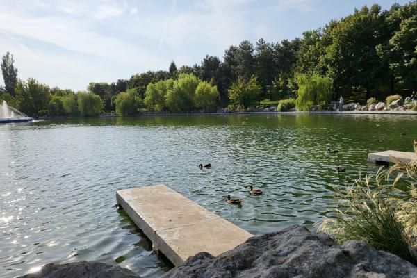 Fotografii comparație Samsung Galaxy Z Flip3