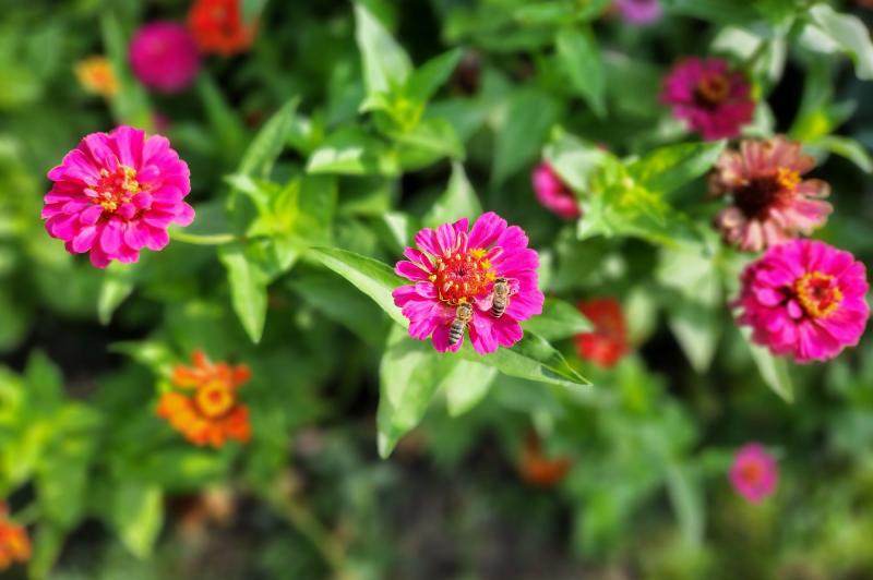 Fotografii comparație Samsung Galaxy Z Flip4: Mostre-foto-Galaxy-Z-Flip4_078.jpg