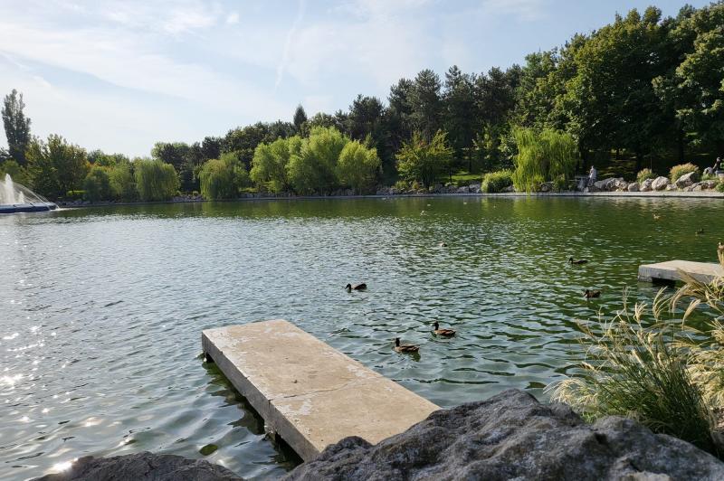 Fotografii comparație Samsung Galaxy Z Flip3: Comparatie-Galaxy-Z-Flip3_034.jpg