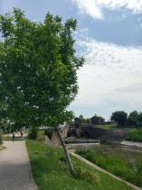 2016-05-28 12.41.05.jpg