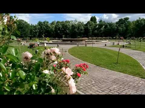 Allview X3 Soul Pro, mostră video Full HD, 25 FPS (close-up & focus) - Mobilissimo.ro