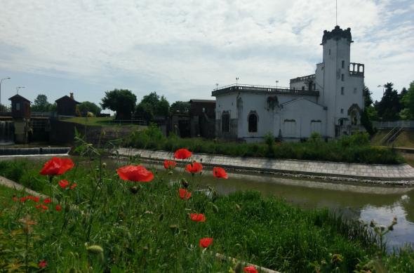 HTC 10 - Mostre Foto (ziua): 2016-05-28 12.40.12.jpg