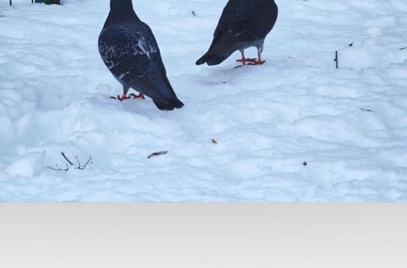 Xiaomi 17 Ultra - Screenshots AI: AI-Screenshots_ (28).jpg