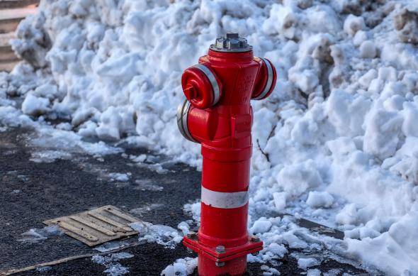 Xiaomi 17 Ultra - Mostre bokeh: Mostre-bokeh_ (4).jpg