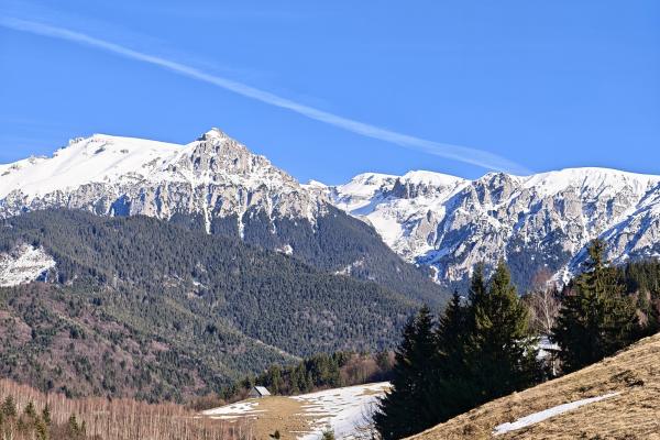 HONOR Magic8 Pro - Mostre foto (Zărnești)