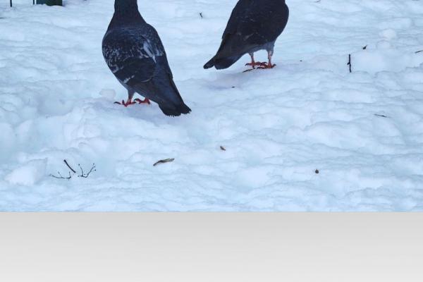 Xiaomi 17 Ultra - Screenshots AI