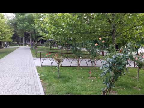 Samsung Galaxy A3 (2016), mostră video Full HD, 30 FPS (culori și autofocus) - Mobilissimo.ro
