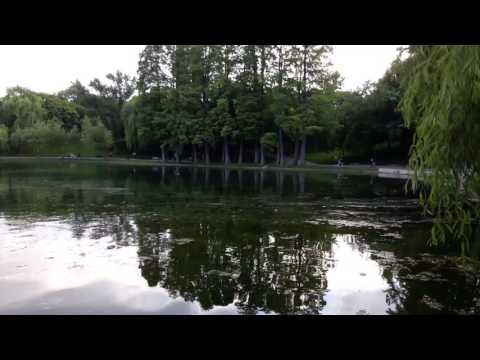 Samsung Galaxy A3 (2016), mostră video Full HD, 30 FPS (zoom, dynamic range și panoramare)