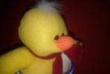 IMG_20110225_172016.jpg