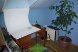 IMG_20110227_170424.jpg