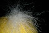 IMG_20110227_170533.jpg